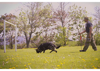 Toronto Dresseurs De Chiens Gemini K9 Obedience Inc.