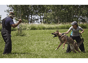 Toronto Dresseurs De Chiens Gemini K9 Obedience Inc.