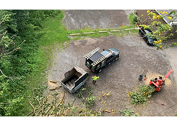 Quebec tree service Genest Arboriculture
