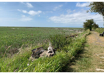 Delta places to see George C. Reifel Migratory Bird Sanctuary