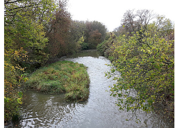 Newmarket public park George Richardson Park image 1