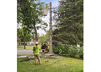 Edmonton Services d'arboriculteur Gerry's Cheapest Tree Removal