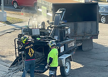 Edmonton Services d'arboriculteur Gerry's Cheapest Tree Removal