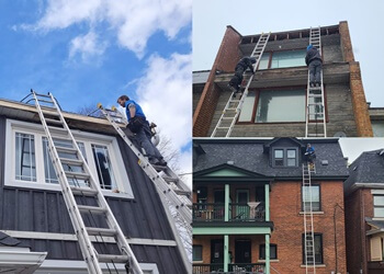 Ottawa animal removal Get 'Em Out Wildlife Control Inc.