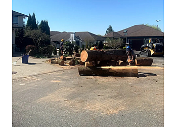 Maple Ridge tree service Give and Take Tree Service