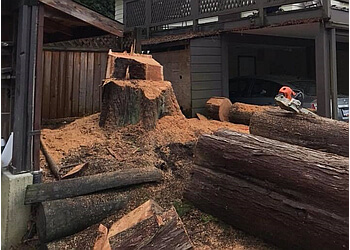 Maple Ridge tree service Give and Take Tree Service