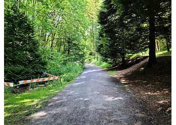 New Westminster hiking trail Glenbrook Ravine Park