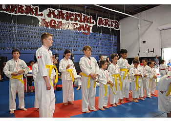 Hamilton martial art Global Martial Arts Academy