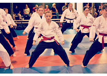 Hamilton martial art Global Martial Arts Academy