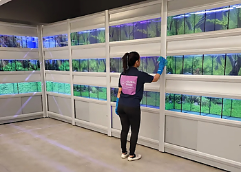 Stratford house cleaning service Global Shine Cleaning Services