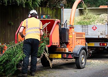 Caledon tree service Godon Tree Care