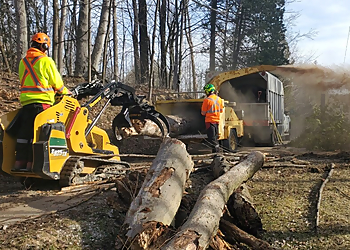 Godon Tree Care Services Ltd. - Caledon, ON Tree Services