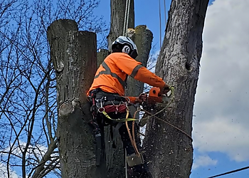 Godon Tree Care Services Ltd. - Caledon, ON Tree Services