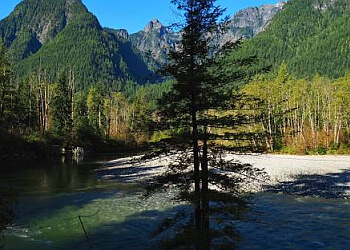 Maple Ridge hiking trail Golden Ears Provincial Park