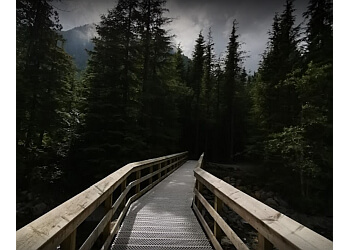 Maple Ridge hiking trail Golden Ears Provincial Park