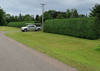 Orillia lawn care service Golden Grove Maintenance
