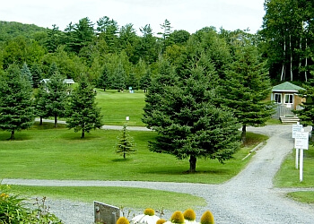 Levis Terrains de golf Golf De L'Auberiviere