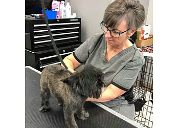 Oshawa Salons de Toilettage Pour Animaux De Compagnie Gone With The Dogs
