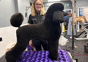 Burlington pet grooming Goochie Poochie Grooming