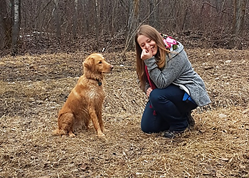 Sherwood Park Dresseurs De Chiens Good Boy Dog Training