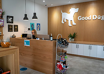 Port Coquitlam pet grooming Good Dog