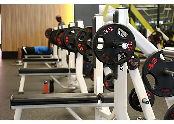 3 Best Gyms in Brampton, ON - ThreeBestRated