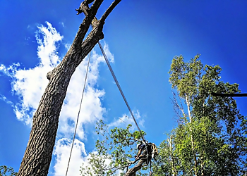 Goodwin's Trees Goodwin's Trees - St Catharines, ON Tree Services - Service Highlights