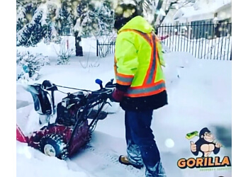 Burlington snow removal Gorilla Property Services
