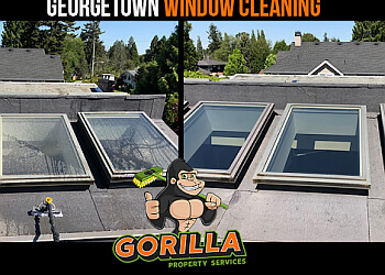 Halton Hills window cleaner Gorilla Property Services