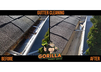 Maple Ridge gutter cleaner Gorilla Property Services