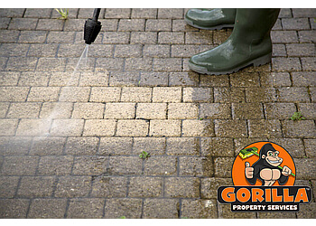 Vancouver Déneigement Gorilla Property Services