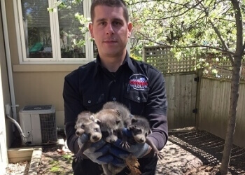 Gotcha Wildlife Removal Services - Oshawa, ON Élimination Des Animaux - Service Highlights