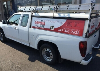 Gotcha Wildlife Removal Services Gotcha Wildlife Removal Services - Oshawa, ON Élimination Des Animaux - Service Vehicle Image