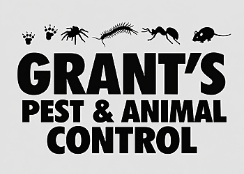 Grants Pest & Animal Control - North Bay, ON Services d'extermination de parasites - Pest Control Image