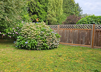 Maple Ridge lawn care service Grass, Gardens and Grounds