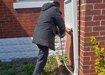 Windsor Services d'extermination de parasites Gray Wolf Pest Control