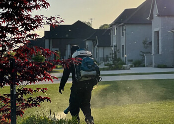 Windsor Services d'extermination de parasites Gray Wolf Pest Control