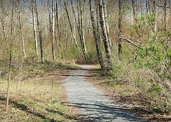 Chilliwack hiking trail Great Blue Heron Nature Reserve
