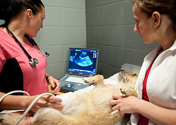 Lethbridge veterinary clinic Green Acres Animal Hospital