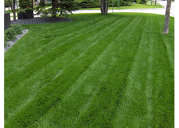 Winnipeg Service D'Entretien De Pelouse Green Blade Lawn Care