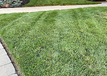 Milton lawn care service Green Blade Lawn Care Services