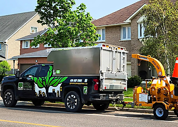 Brampton tree service Green Canopy Tree Services