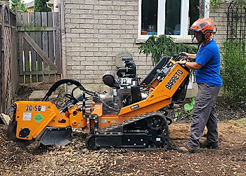 Brampton tree service Green Canopy Tree Services