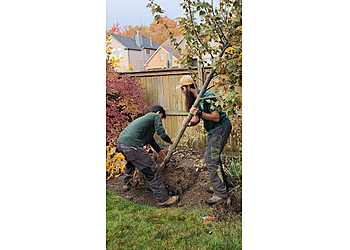 Brampton tree service Green Canopy Tree Services