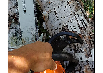 Moncton Services d'arboriculteur Green Canopy Tree Services