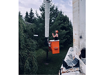 Waterloo Services d'arboriculteur GreenCare Tree Services