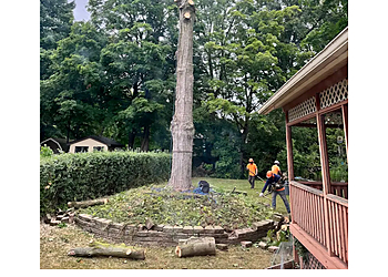 Waterloo Services d'arboriculteur GreenCare Tree Services