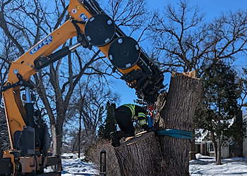 Winnipeg Services d'arboriculteur Green Drop Tree Care