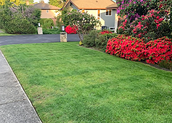 Coquitlam lawn care service Green First! Landscaping