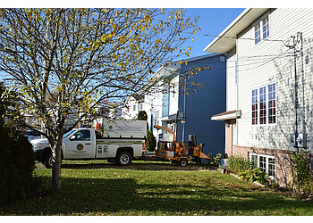 Halifax tree service Green Heritage Tree Services Ltd.